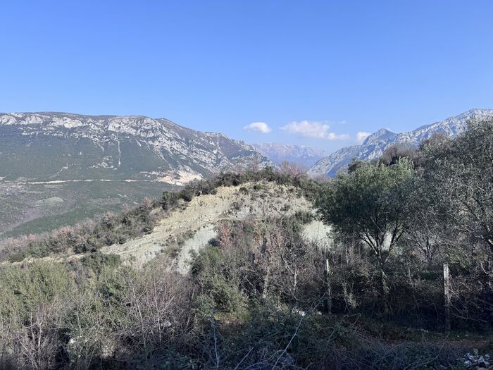Krujë
