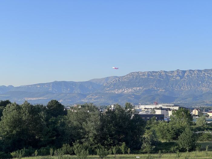 Krujë